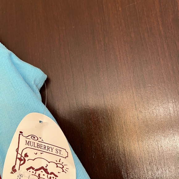 Baby Blue Holiday Train Overalls - Picture 3 of 4